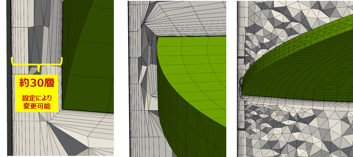Co1 インデューサ（チップクリアランス領域 拡大）
